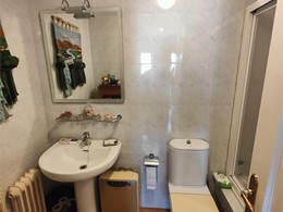 baño 2 ants